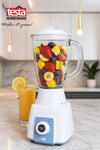 Testa Blender ( Glass Jar ) 550W
