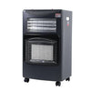 Gas And Electric Heater